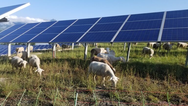 PV Curbans. 33 MW