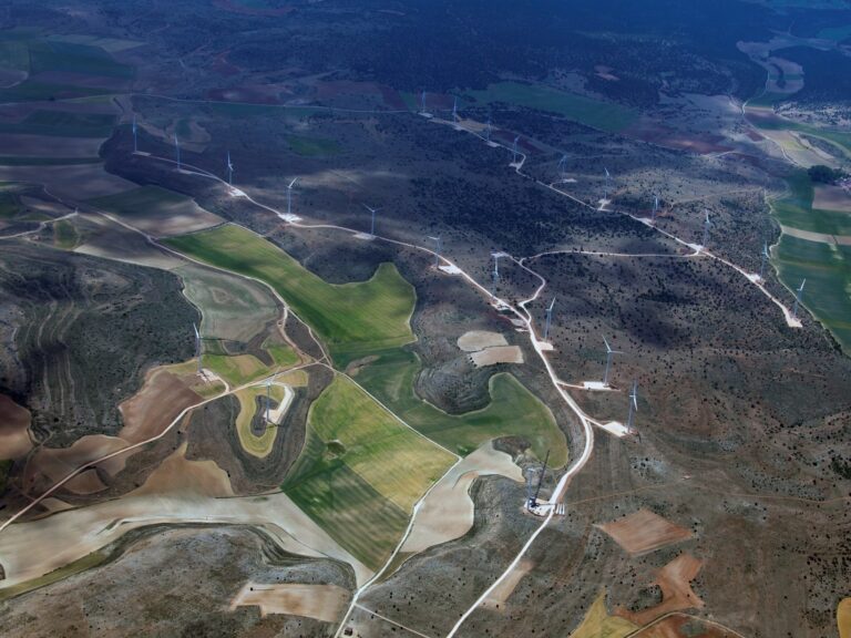 WF Loma Gorda. 45 MW